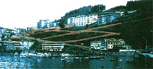 Atxukale berdegunea (Mutriku)