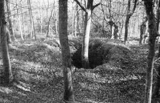 Nevera de Régil, (Guipúzcoa) (13-12-94)
