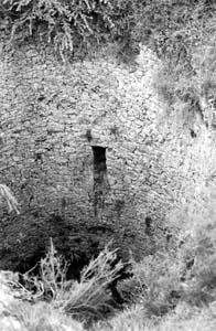 Nevera-barraca de Navaz, (Valle de Juslapeña, Navarra) (11-05-96)