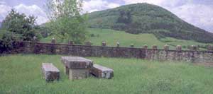 Ayala