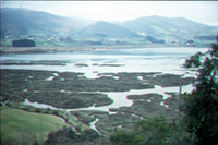 Urdaibai