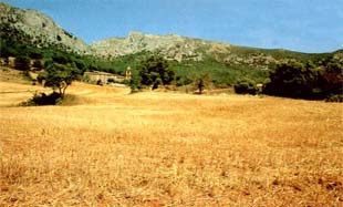 Sierra de Codes