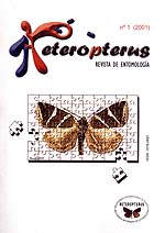 Heteropterus nº1