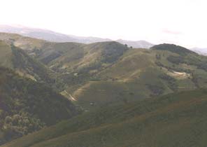 Iraty