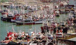 Puerto de Ondarroa