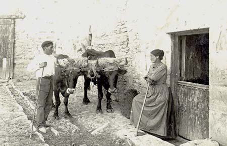 Argazkia