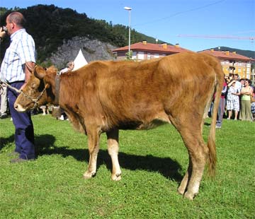 Betizua. 