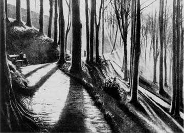 Paseo de Los Caños, foto obra de Manuel Torcida Torres
