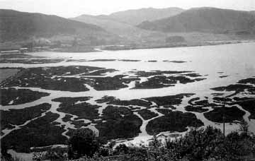 Marismas de la Reserva de la Biosfera de Urdaibai (Vizc.). Fot. G.E.Z. - 1990. 