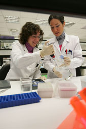 Laboratorio del área de Oncología. Foto: Universidad de Navarra