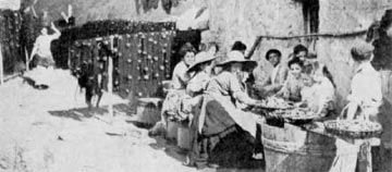 Pescadoras entregadas a labor de salazón de pescado con destino a las fábrica de escabeche. Año 1909.