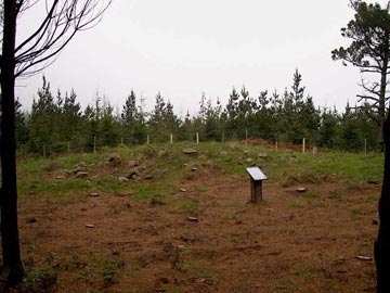Dolmen de Munjozuri (Nabarniz-Ereño).