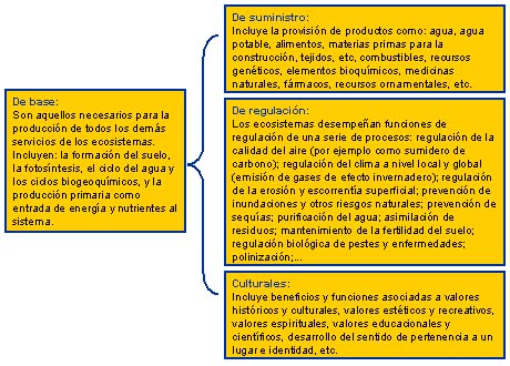 Funciones de los ecosistemas