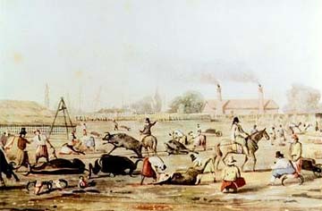 El Matadero, acuarela: 1829. Monumenta iconográfica", Emece, 1985