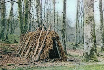 Txabola en los bosques de la cuenca del río Zumarresta