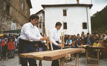 Ugarte anaiak