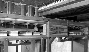 Foto: J. Sergio del Campo Olaso