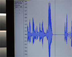 argazkiak/gaia60303ind.jpg