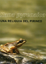 argazkiak/ebooks63004ind.jpg