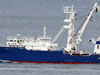 ../0687zbk/argazkiak/gaia68702aurre.jpg