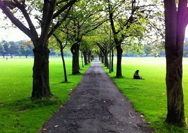 Meadows, Edinburgh